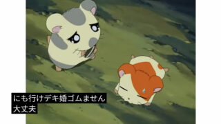 馬鹿げた